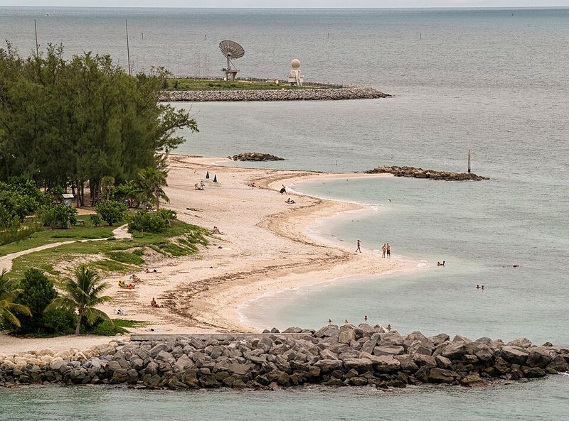 Picnic Spots and Shaded Areas