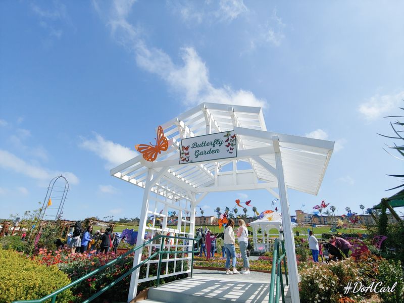 Butterfly Encounter and pollinator moments