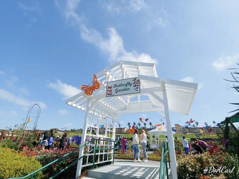 Butterfly Encounter and pollinator moments