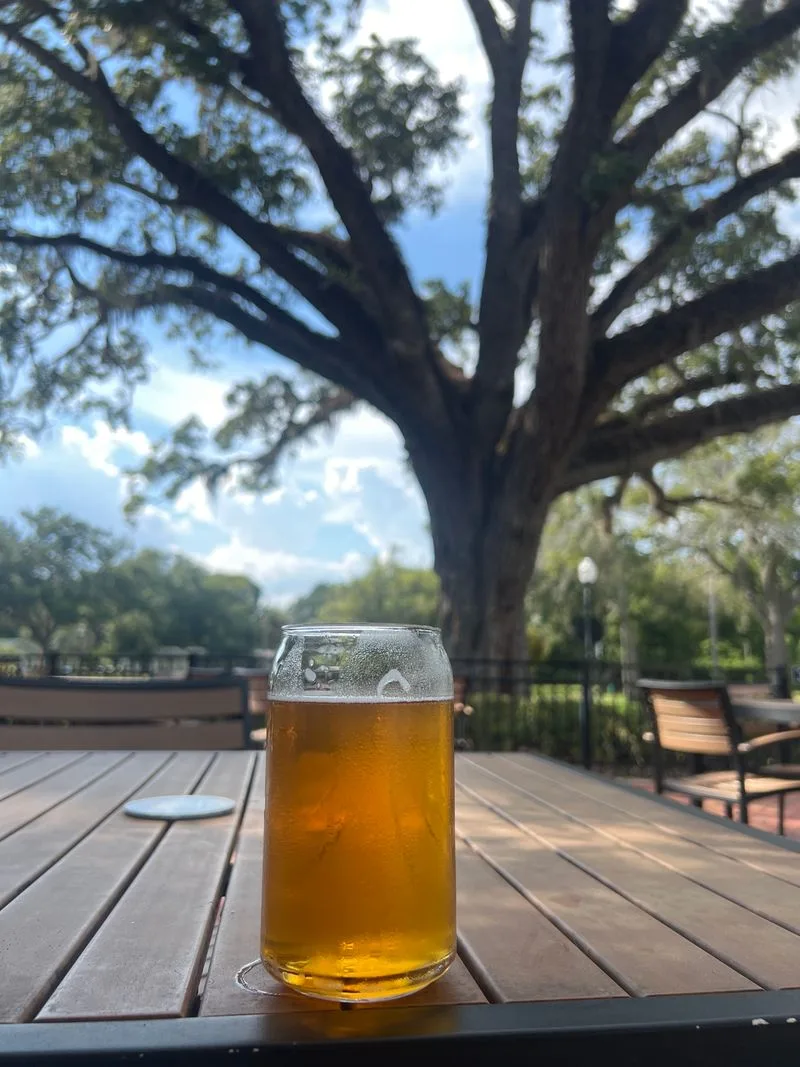 Drinks & Social Vibes: From Tacos to Taprooms