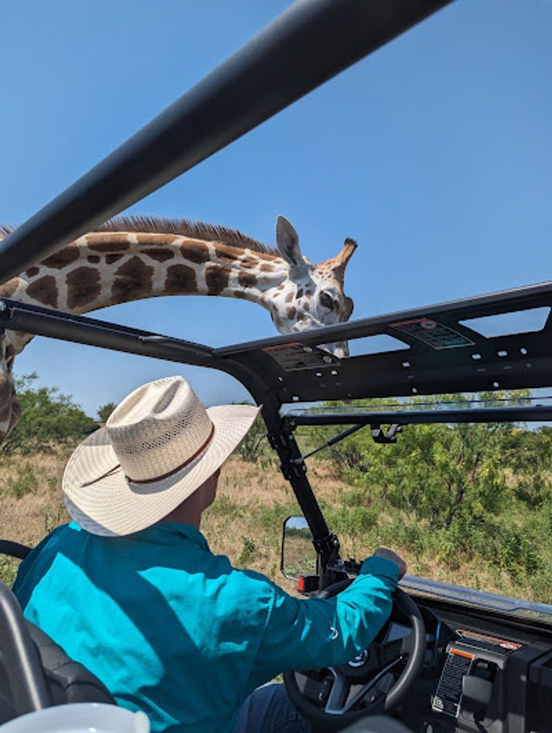 Guided UTV Safari Ride