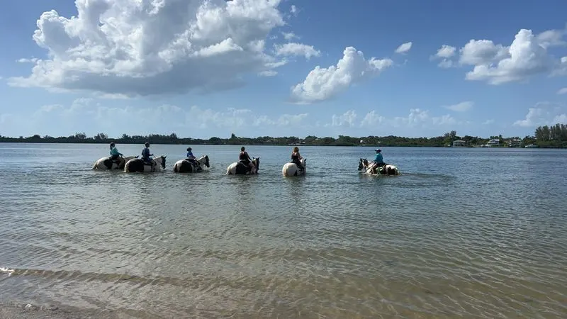 Why Cponies is Special