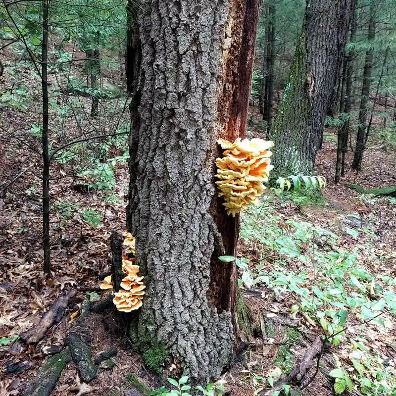 Wildlife, Plants, and Seasonal Highlights