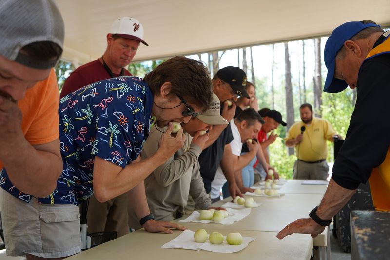 Vidalia Onion Festival