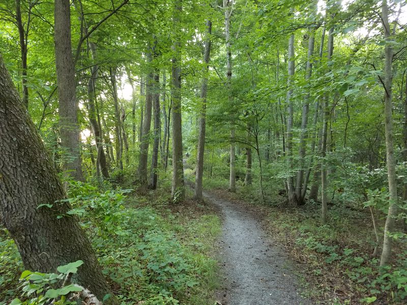 Tybout Tract at a glance