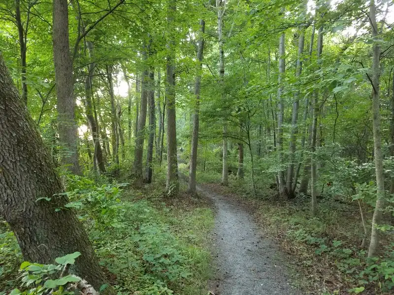 Tybout Tract at a glance