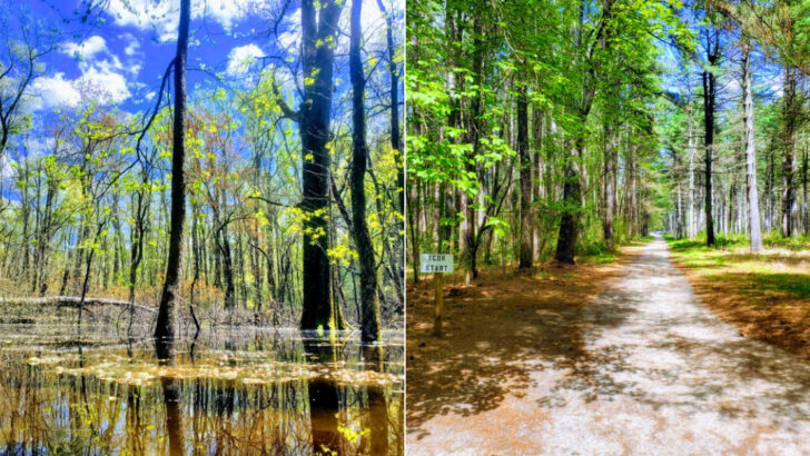 The 2.1-mile Delaware trail locals are always surprised more people don&rsquo;t know about