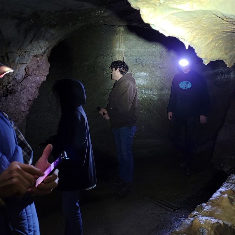 The Guided Experience: Storytelling, Safety, and Pace