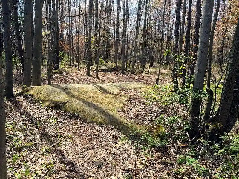 The Scenic Hiking Trails