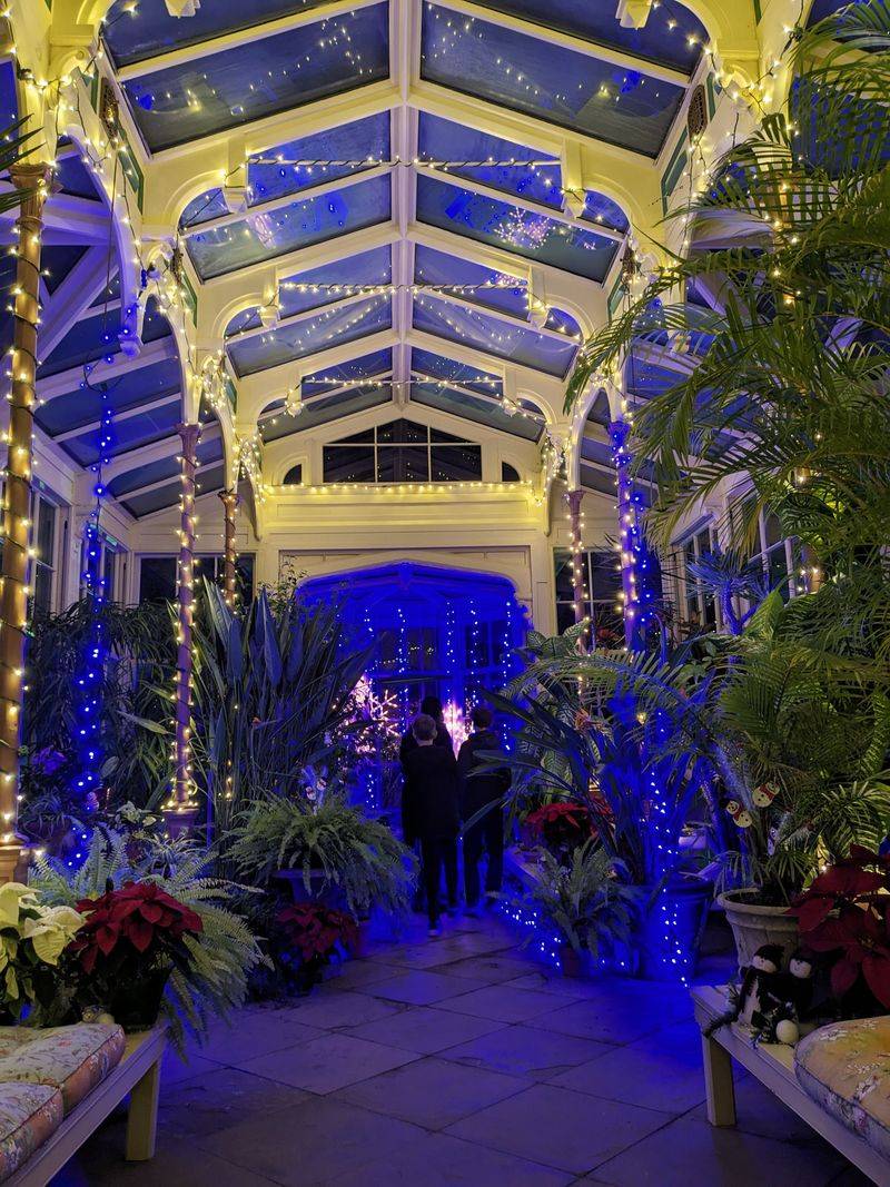 The Mysterious Conservatory