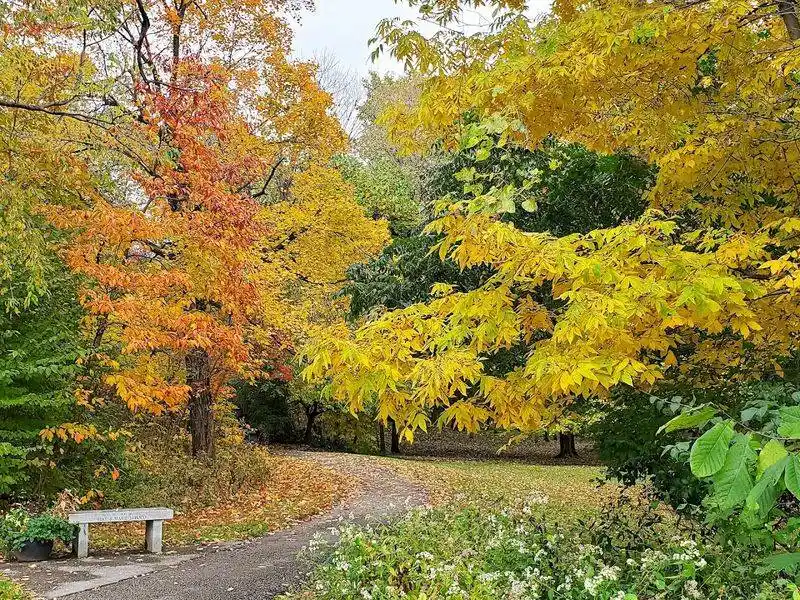 Gorgeous Seasonal Changes That Keep Visitors Coming Back