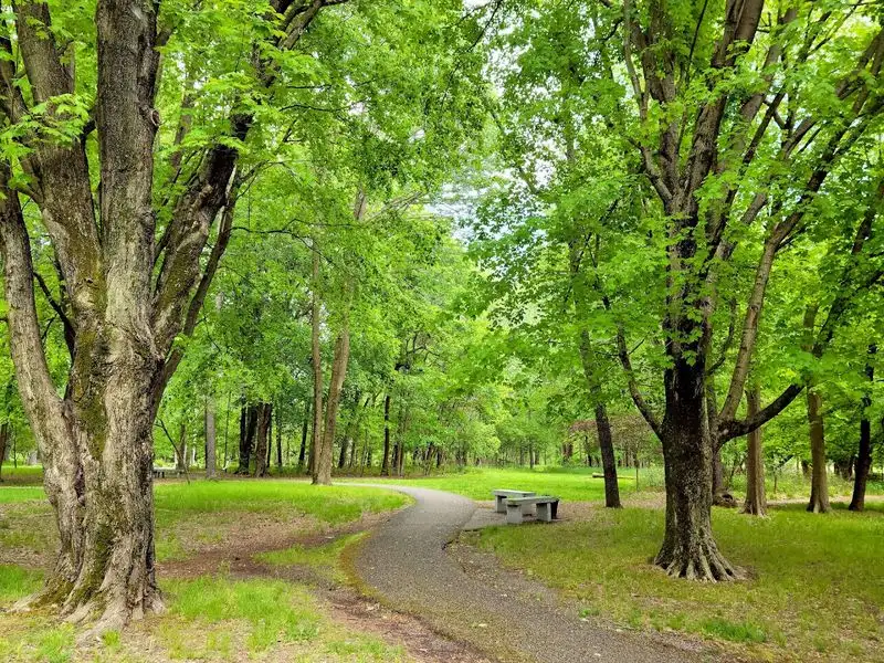 Peaceful Walking Trails for Every Fitness Level