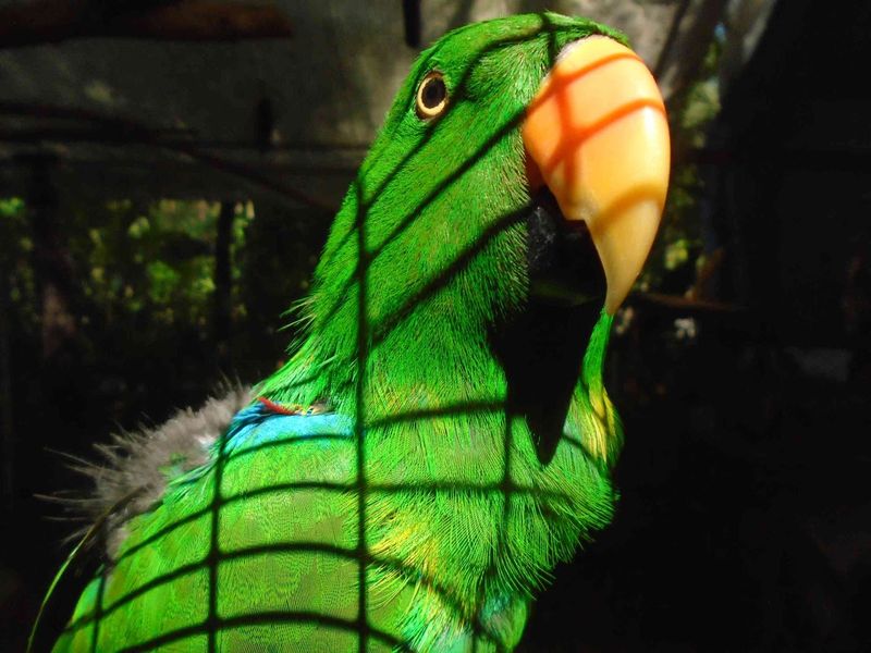 A Future of Hope and Growth