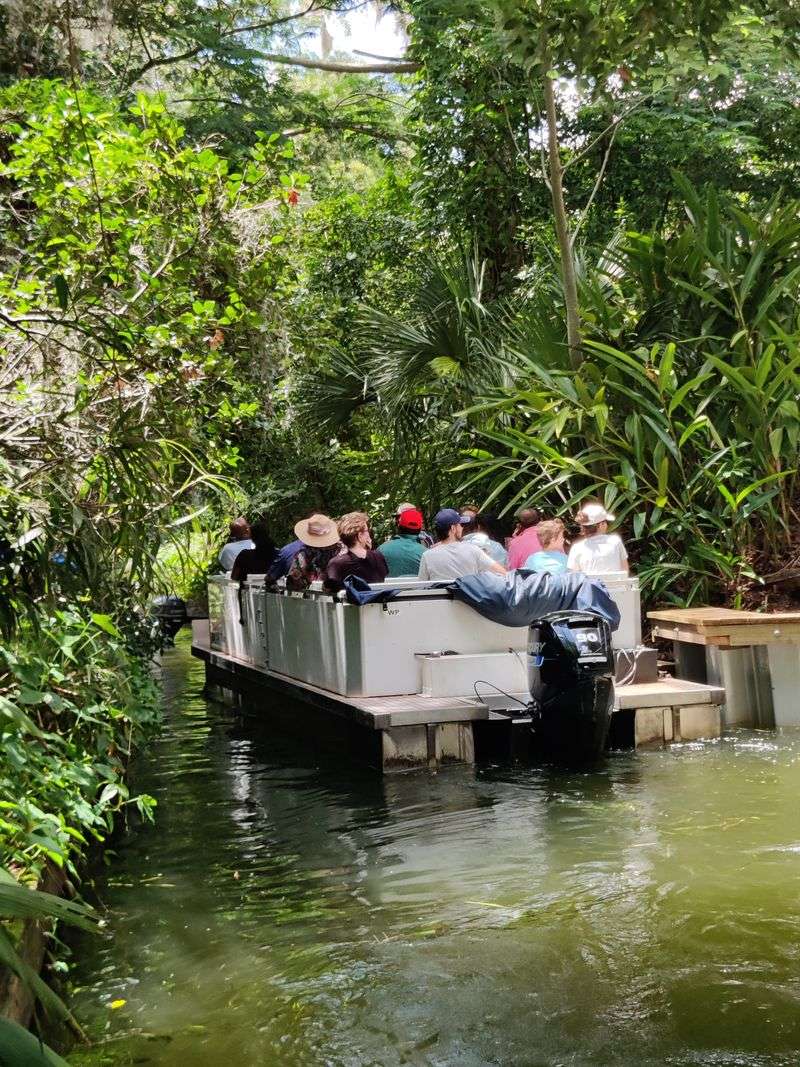 Scenic Boat Tours: Glide Through Serenity
