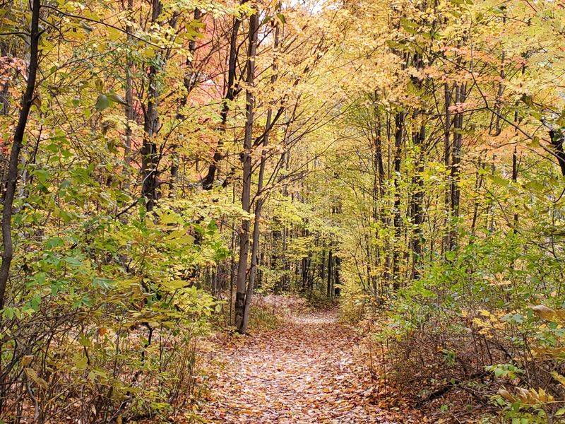 Seasonal Changes and Accessibility