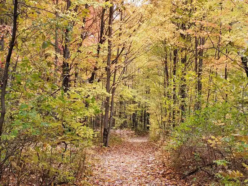 Seasonal Changes and Accessibility