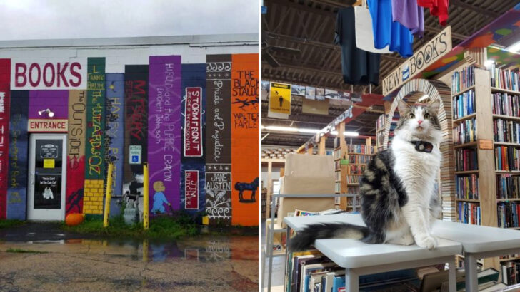 The Cat-Loving Bookstore In Pennsylvania That Feels Like A Hidden World Of Shelves