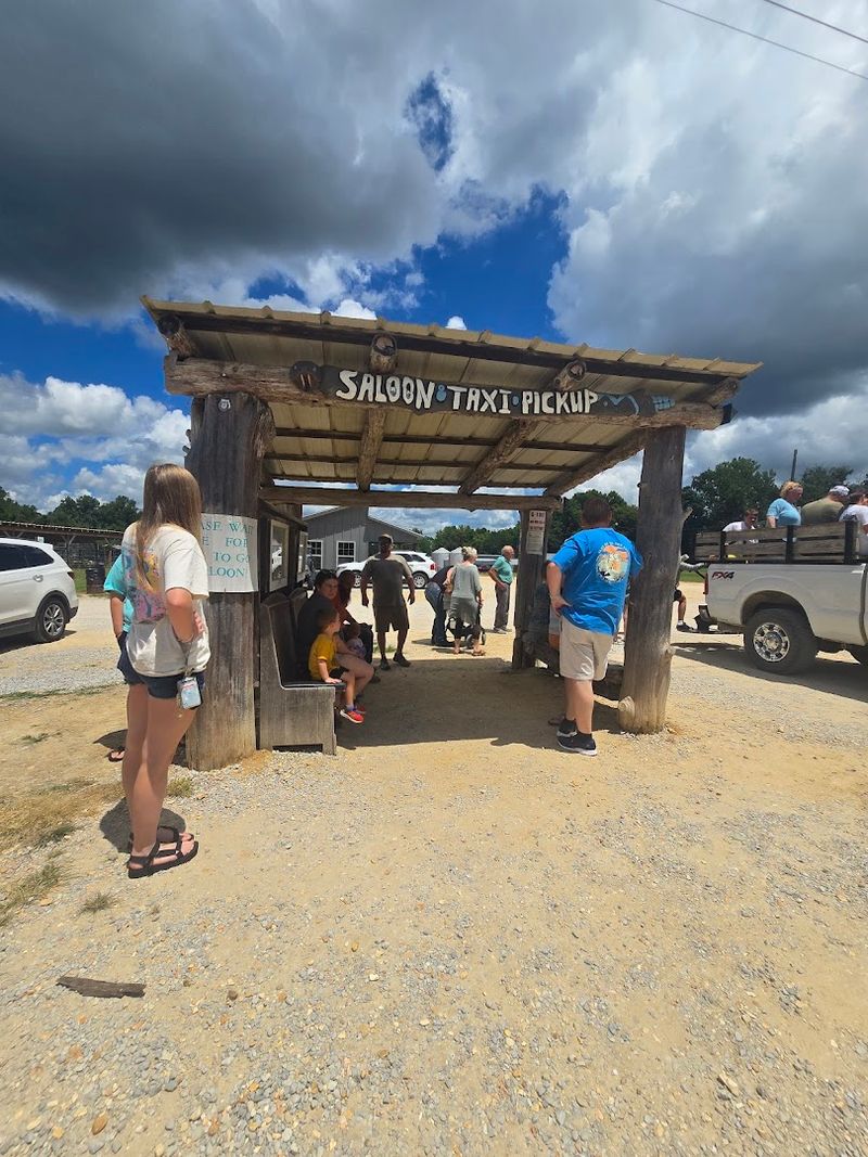 The Famous Pickup Truck Taxi Ride Down the Hill