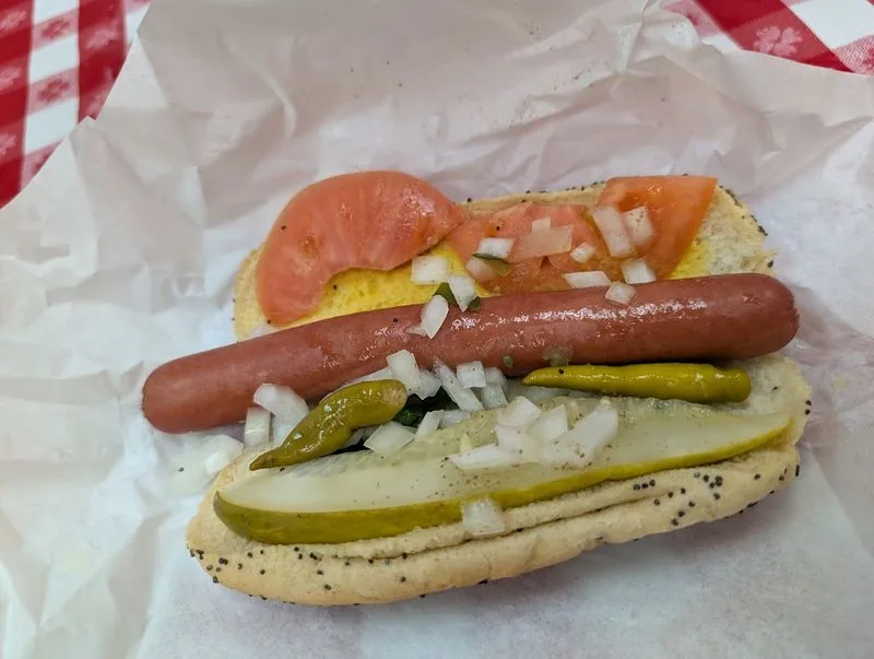 The Chicago-Style Hot Dog