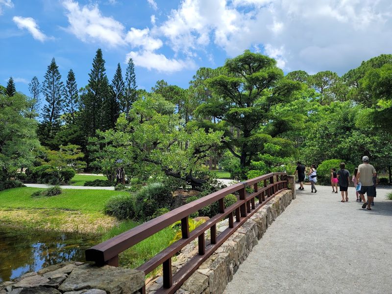 Japanese Tea Ceremonies and Cultural Events