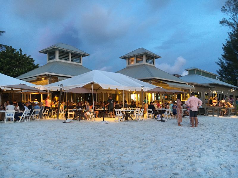 Ideal for Any Occasion