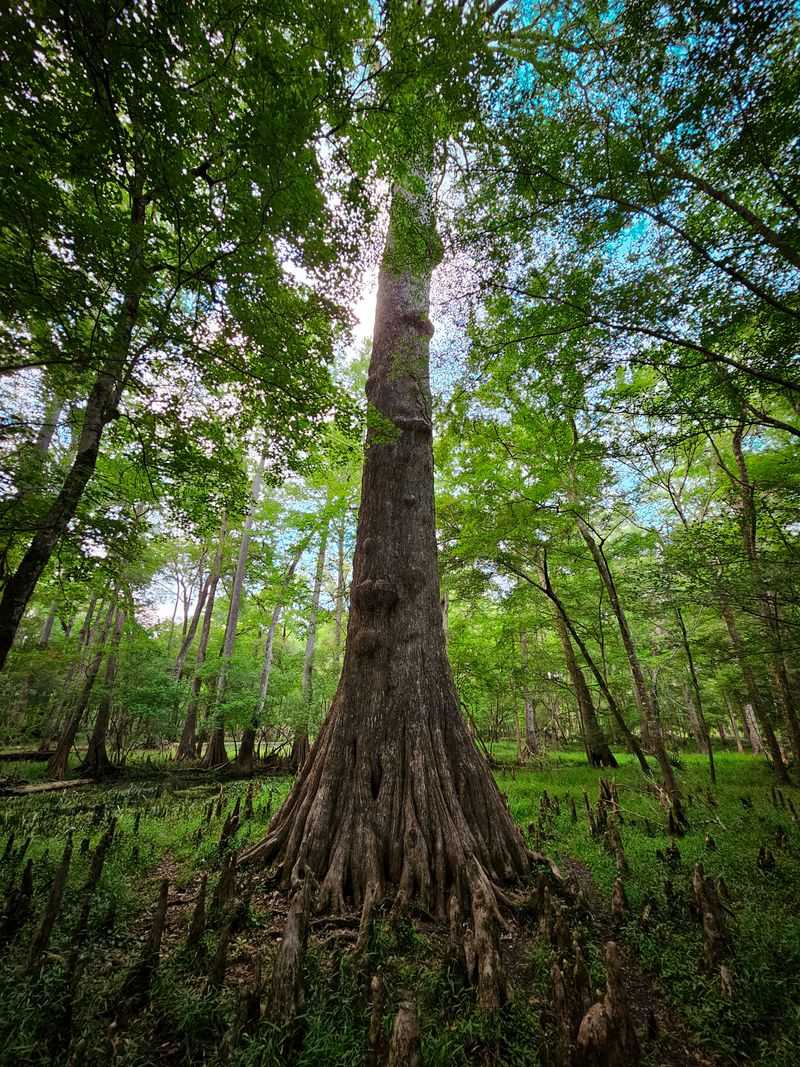 Nature Trails and Wildlife