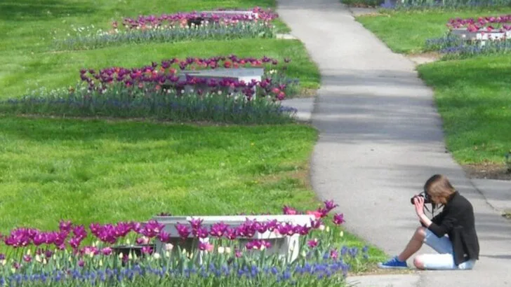 The Dreamy Garden in Illinois That Feels Almost Too Beautiful to Be Real