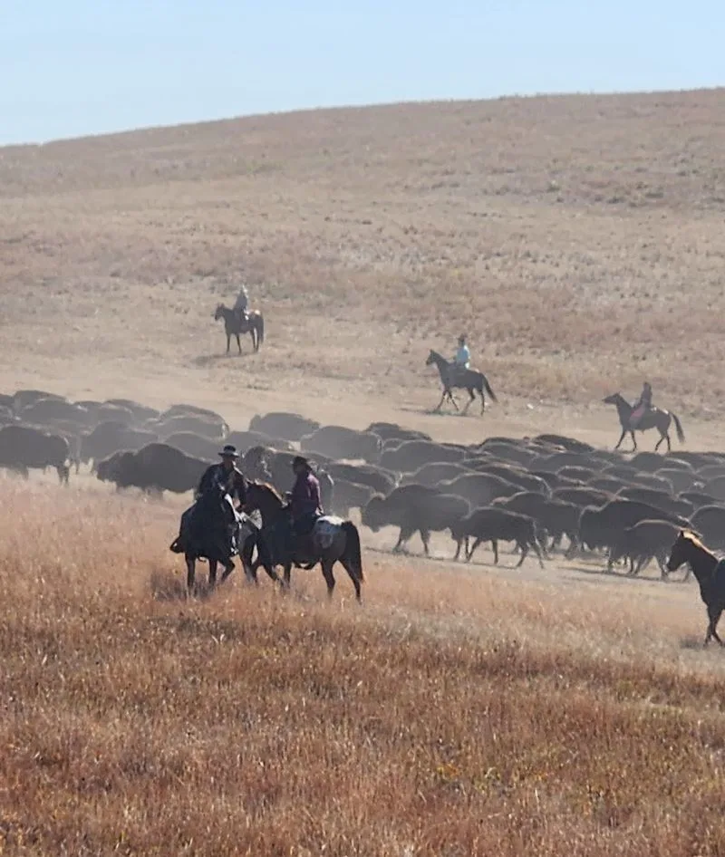 The Heart-Pounding Moment