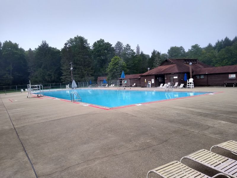 Splashing in the Swimming Pool: Summer Refreshment