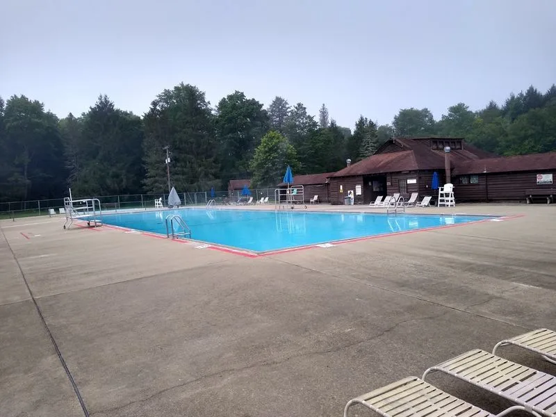 Splashing in the Swimming Pool: Summer Refreshment