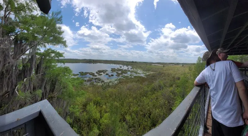 A Journey Through Shifting Ecosystems