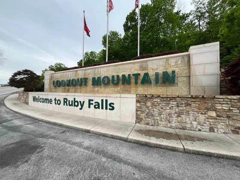 Guided Tours and Expertise