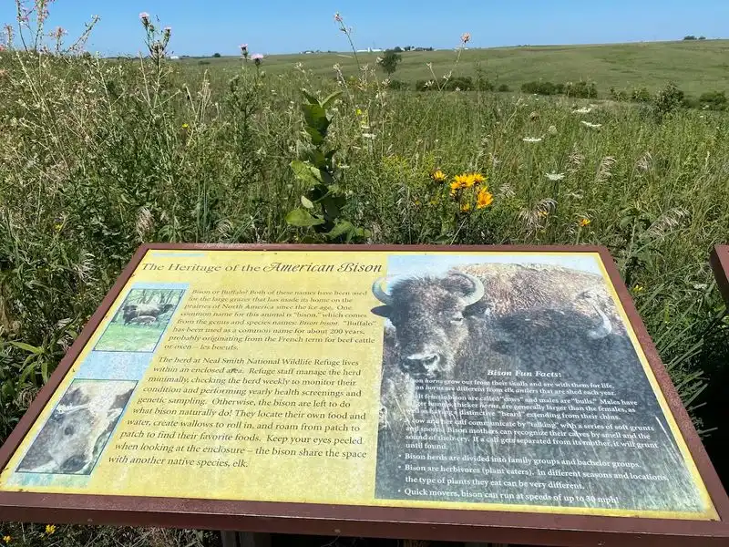 Education and Engagement