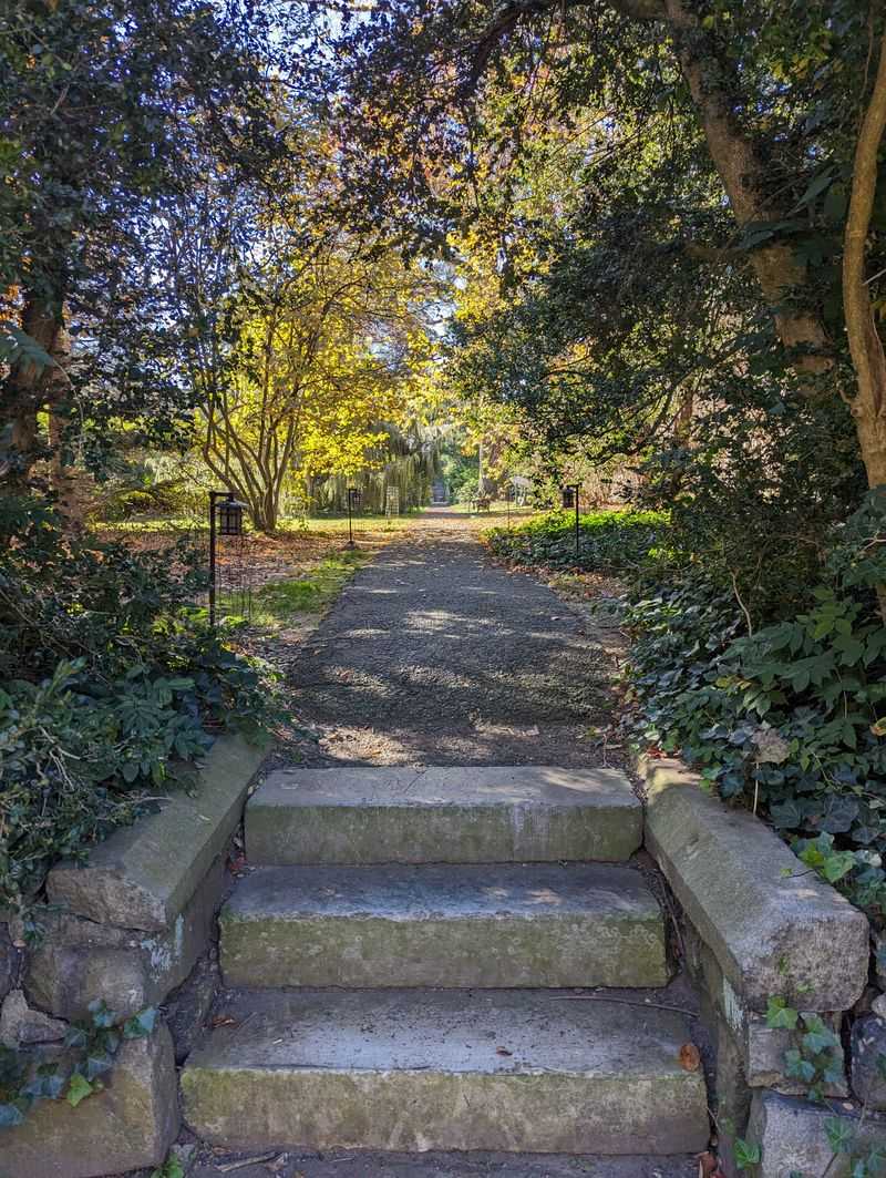 The Intricate Trails