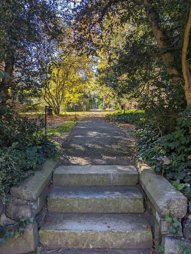 The Intricate Trails