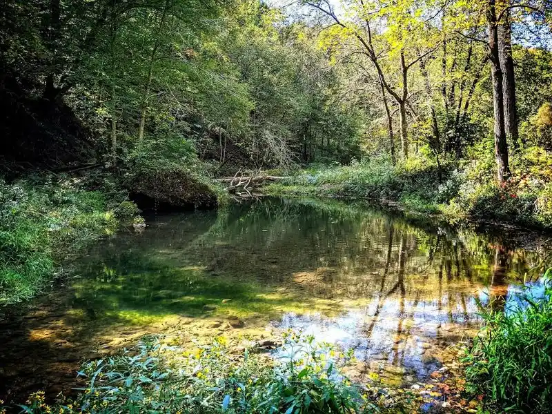 Wildlife Wonders Await