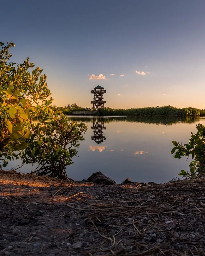 Sunset Views from the Tower