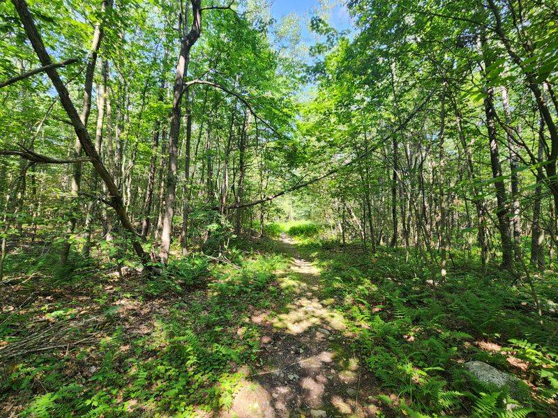 A Journey Worth the Effort