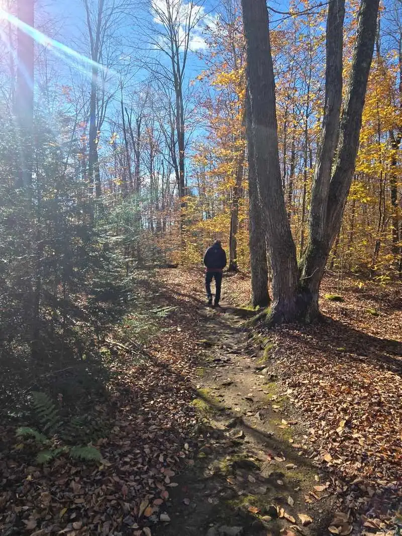 A Photographer's Dream