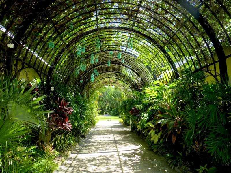 Planning Tips: Hours, Tickets, and Comfort