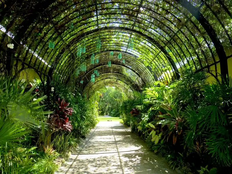 Planning Tips: Hours, Tickets, and Comfort