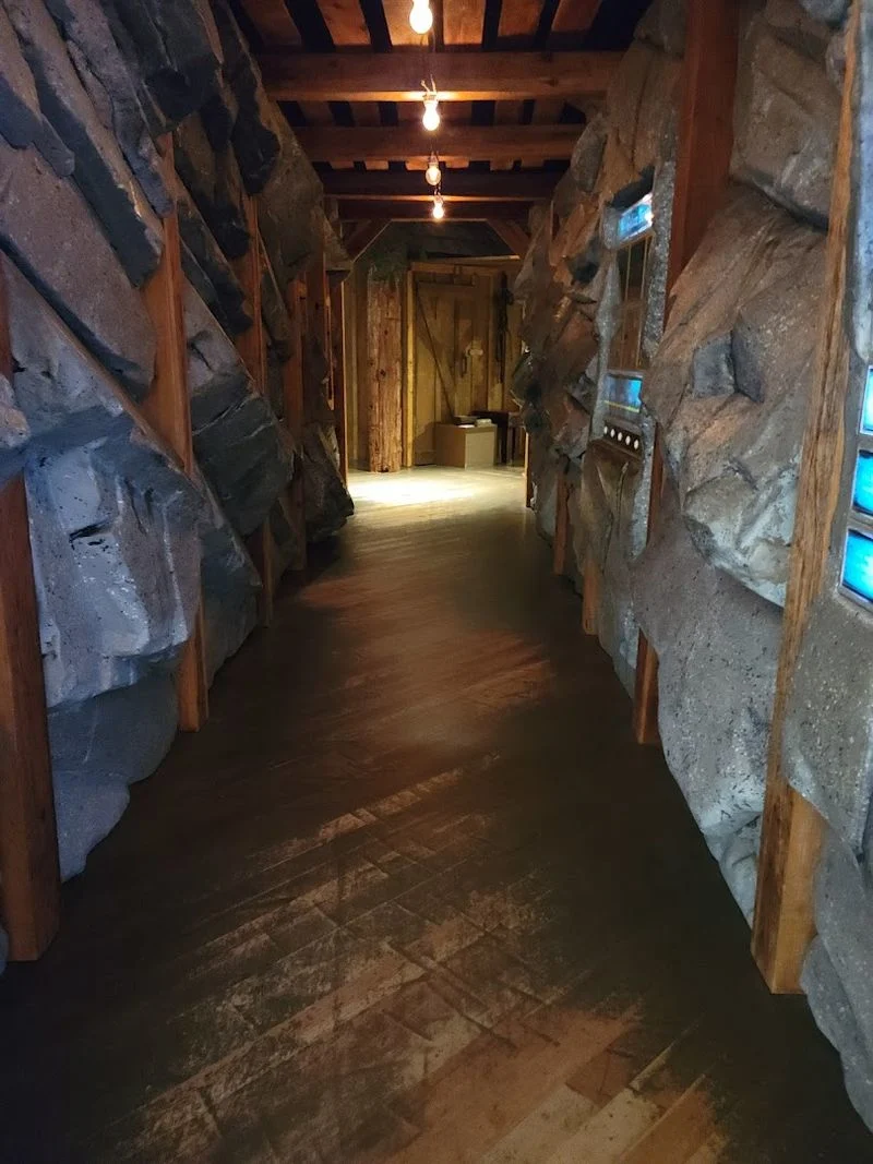 Flooding Chaos That Forced the City Underground