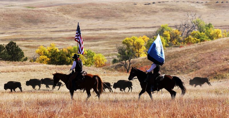 Navigating the Crowds