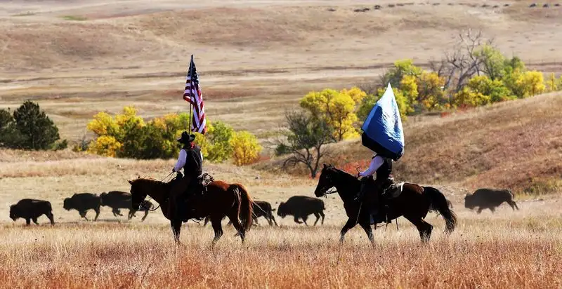 Navigating the Crowds