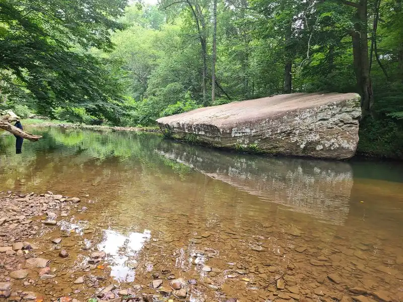 Why the Water Stays So Clear