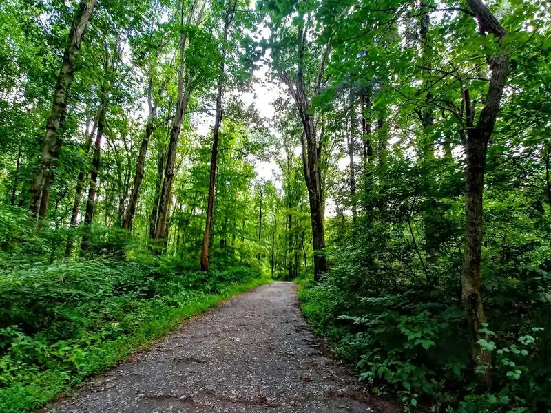 Miles of Scenic Hiking Trails