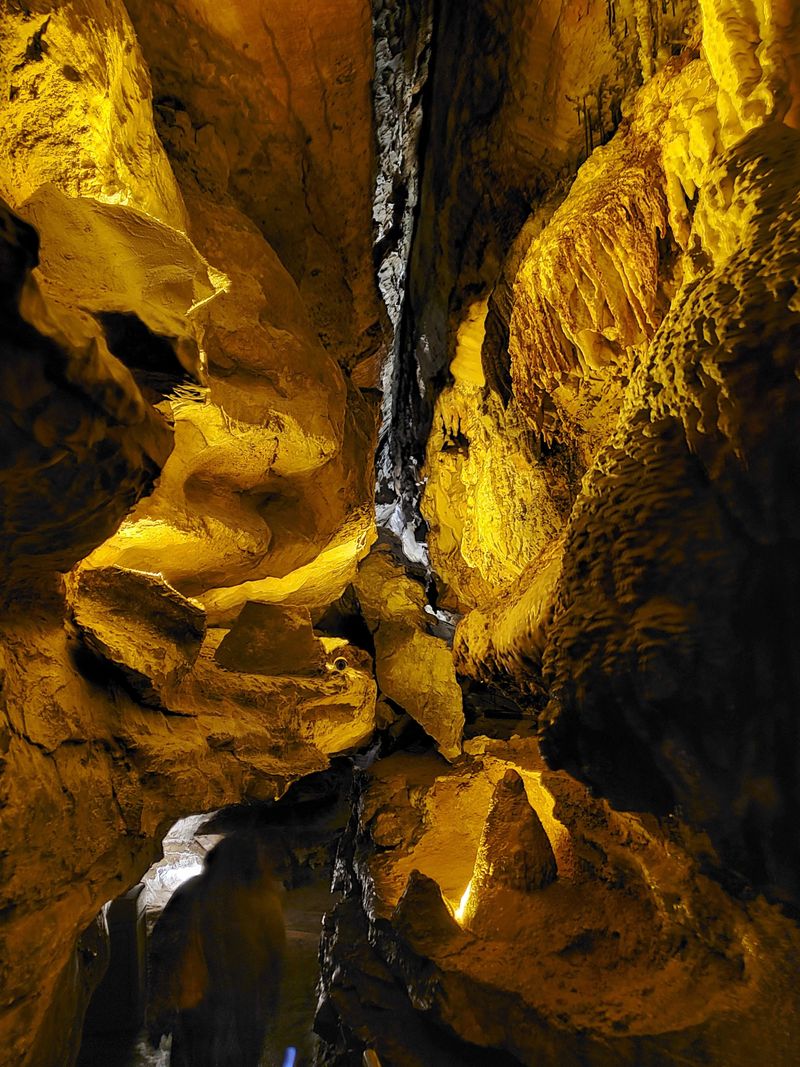 Perfect Timing for Visits