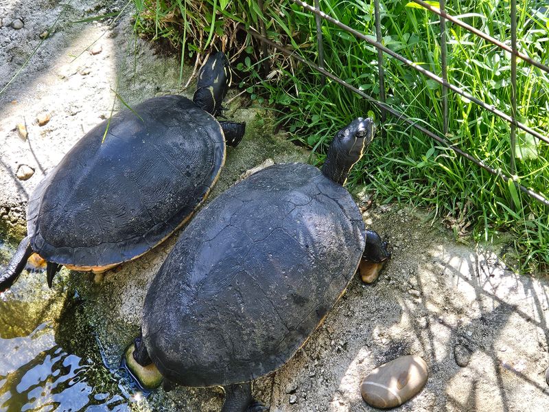 Interactive Experiences for the Family