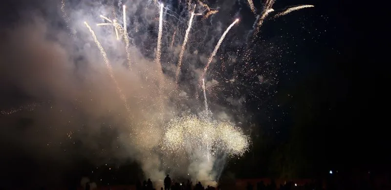 The Thrilling Festivals