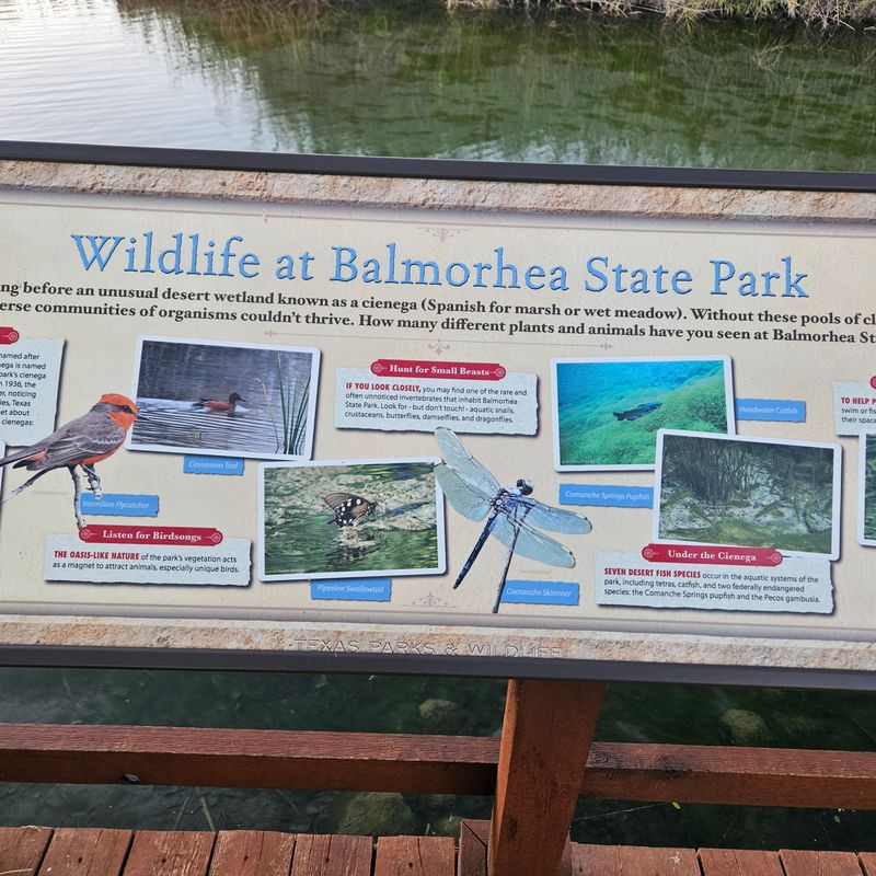 Rich History and Heritage